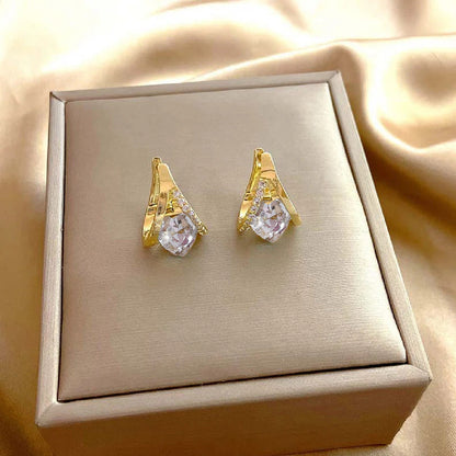 🎁Histone Lymphatic MagneTherapy Germanium Earrings